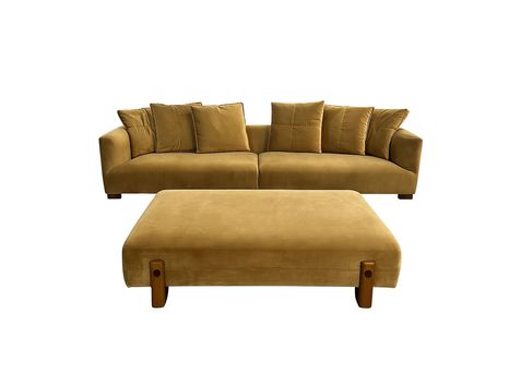 431677_F_P 431677_F_P